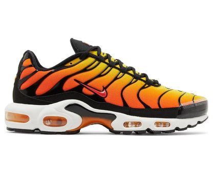 Nike Air Max Tn Tiger